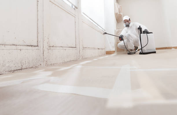 24/7 Emergency Basement Mold Remediation experts in Higgins Lake, MI